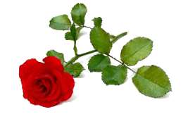 Rosengarten