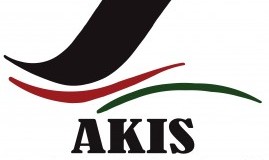 arm 5